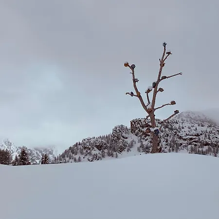 Mansardacourmayeur Apartment Courmayeur